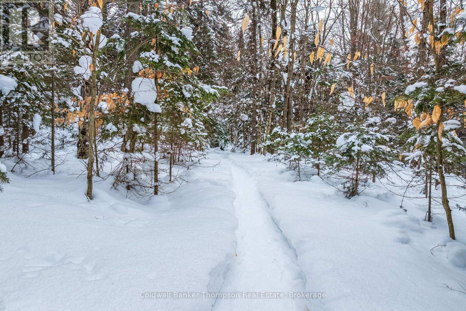 1039 South Waseosa Lake Road, Huntsville, Ontario  P1H 2N5 - Photo 37 - X13044066