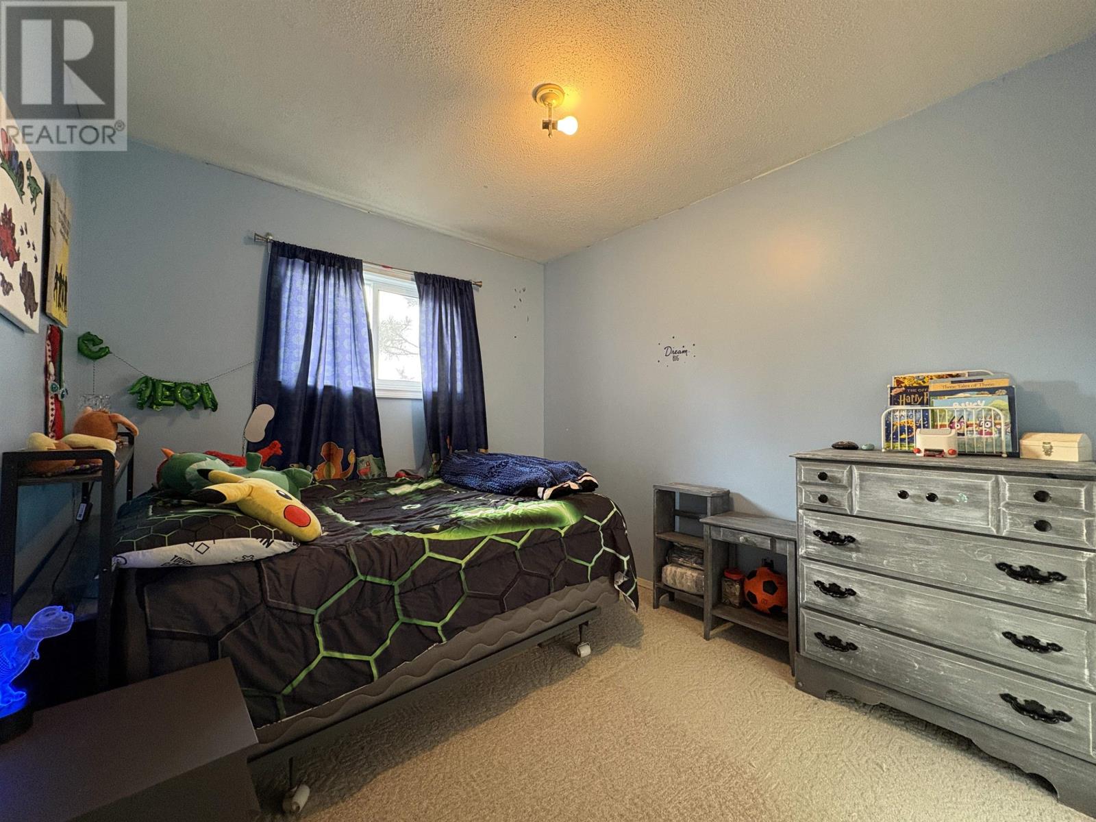 566 Elm Ave, Fort Frances, Ontario  P9A 3J4 - Photo 22 - TB2600772