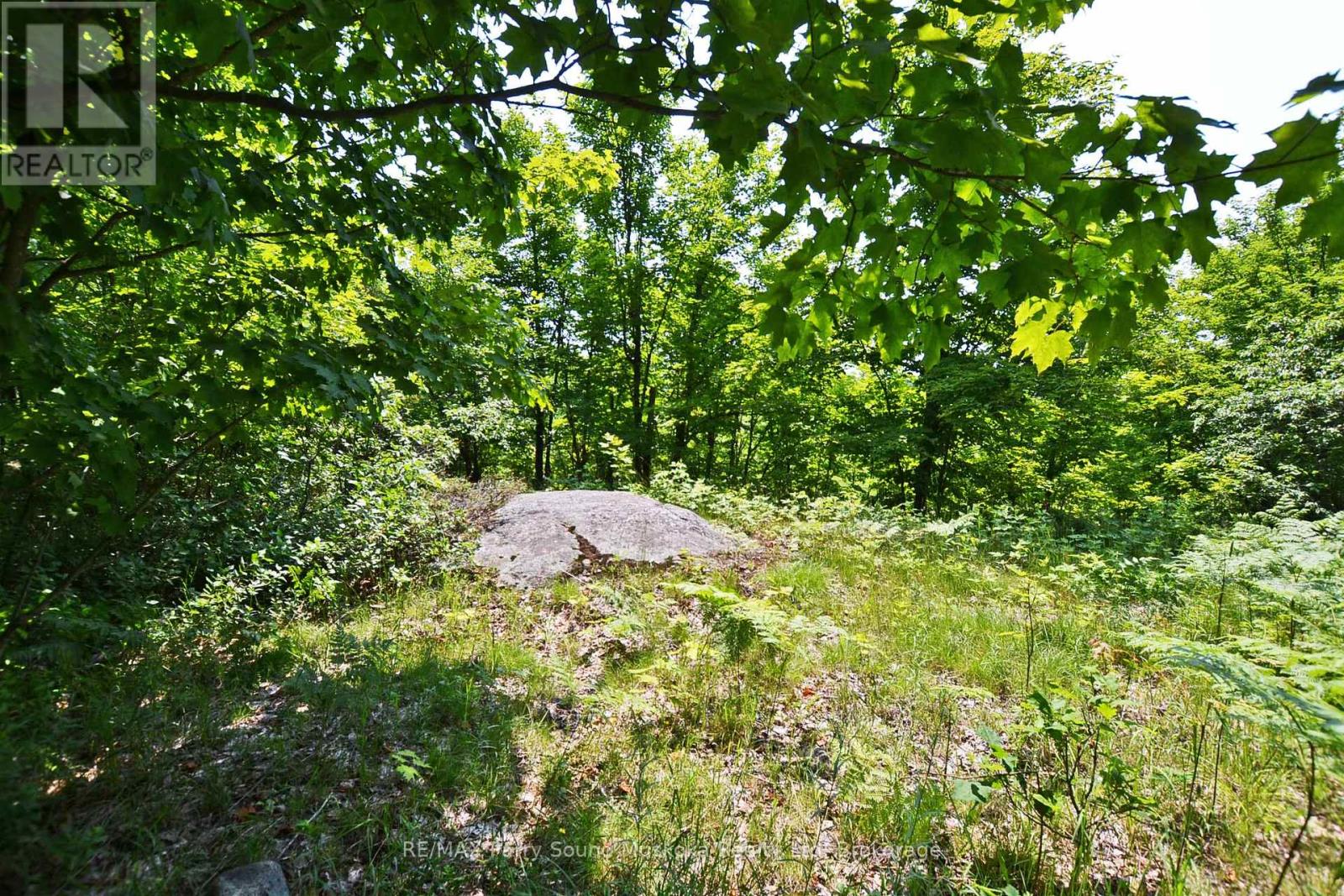 19 Turtle Lane, Mckellar, Ontario  P0G 1C0 - Photo 21 - X12784098