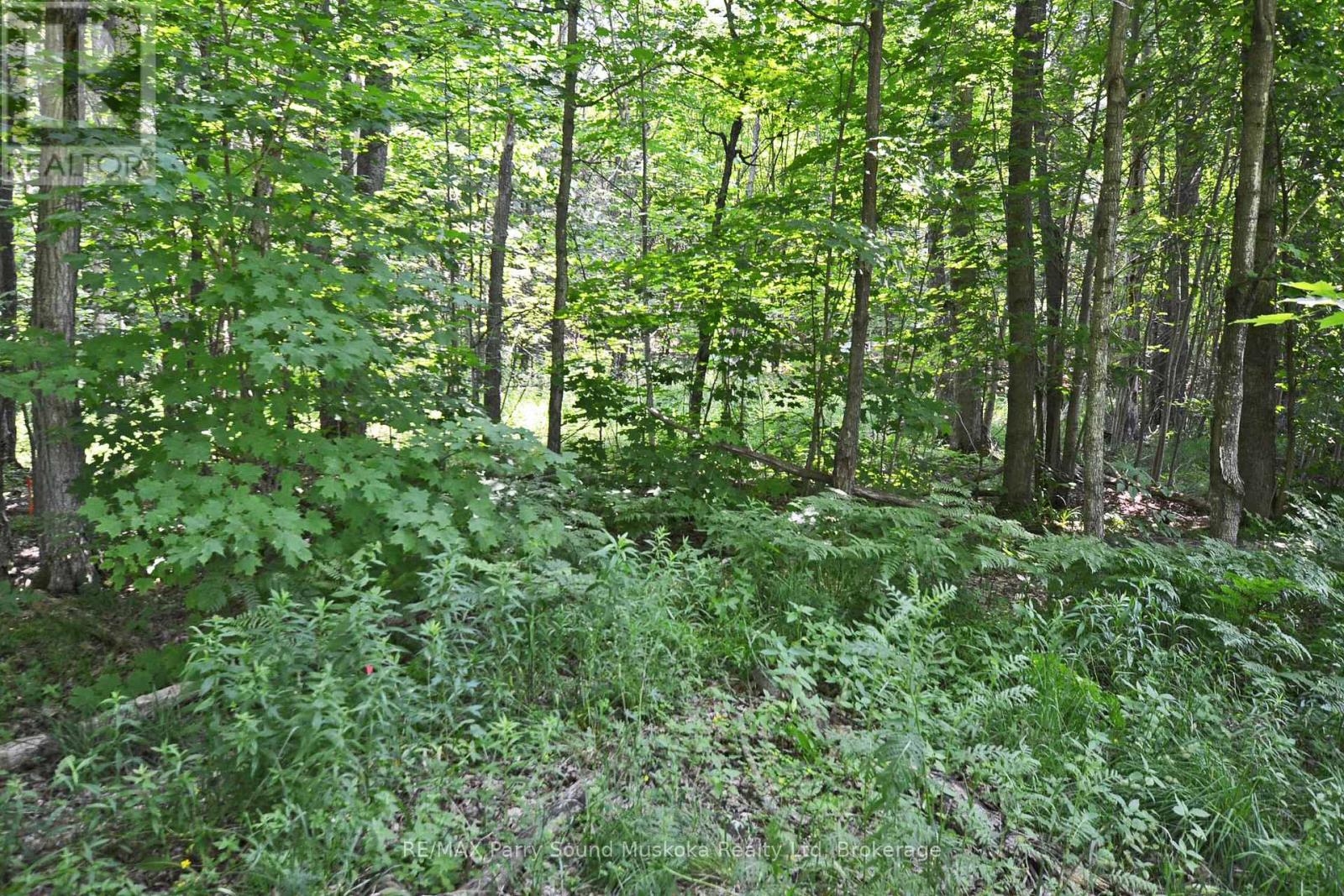 19 Turtle Lane, Mckellar, Ontario  P0G 1C0 - Photo 16 - X12784098