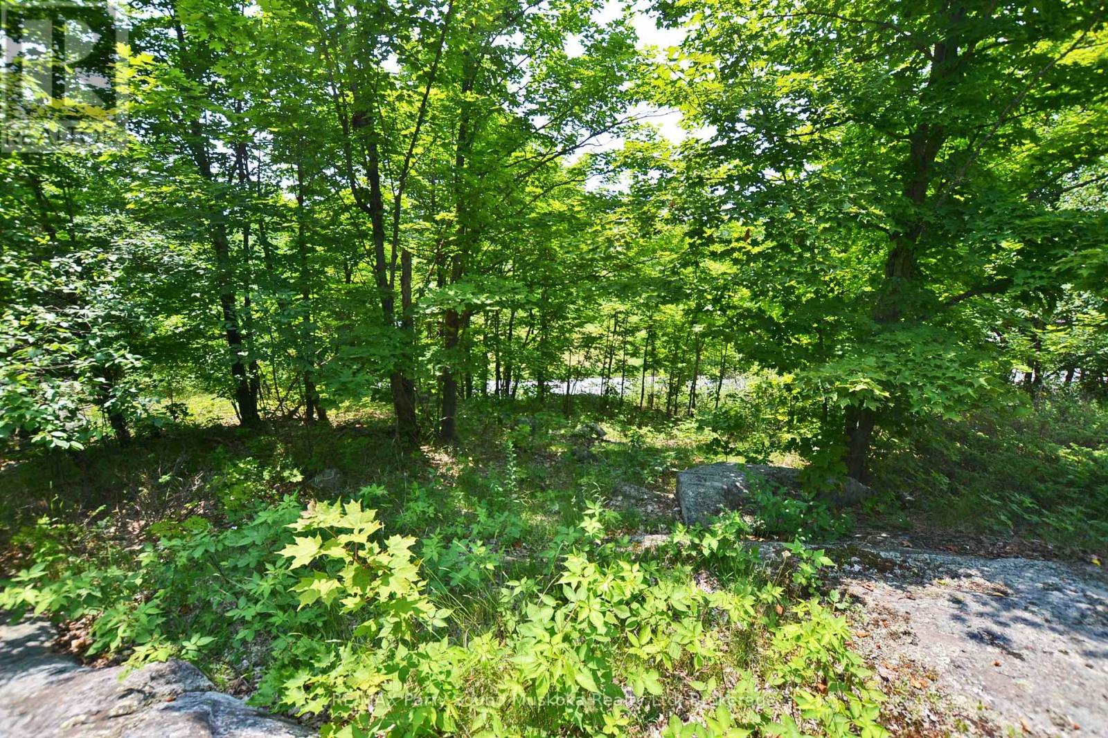 19 Turtle Lane, Mckellar, Ontario  P0G 1C0 - Photo 23 - X12784098