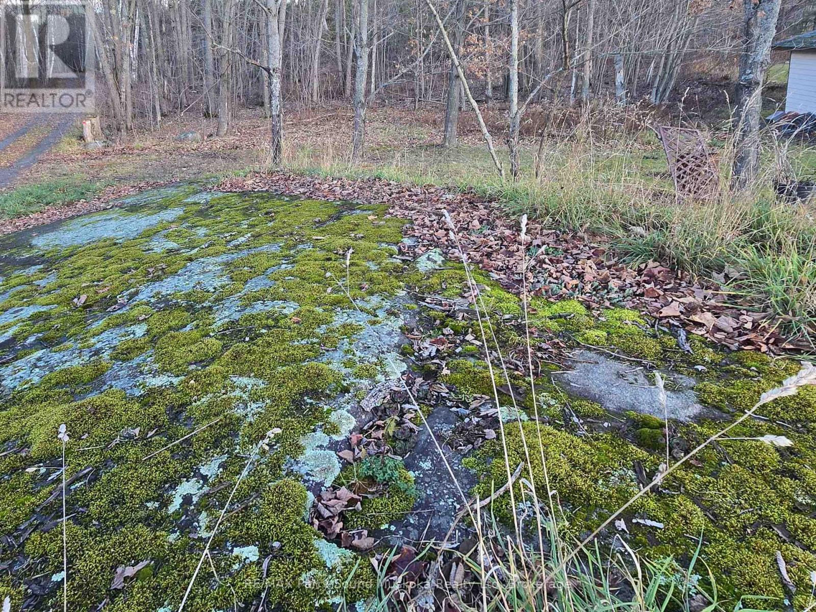 19 Turtle Lane, Mckellar, Ontario  P0G 1C0 - Photo 10 - X12784098