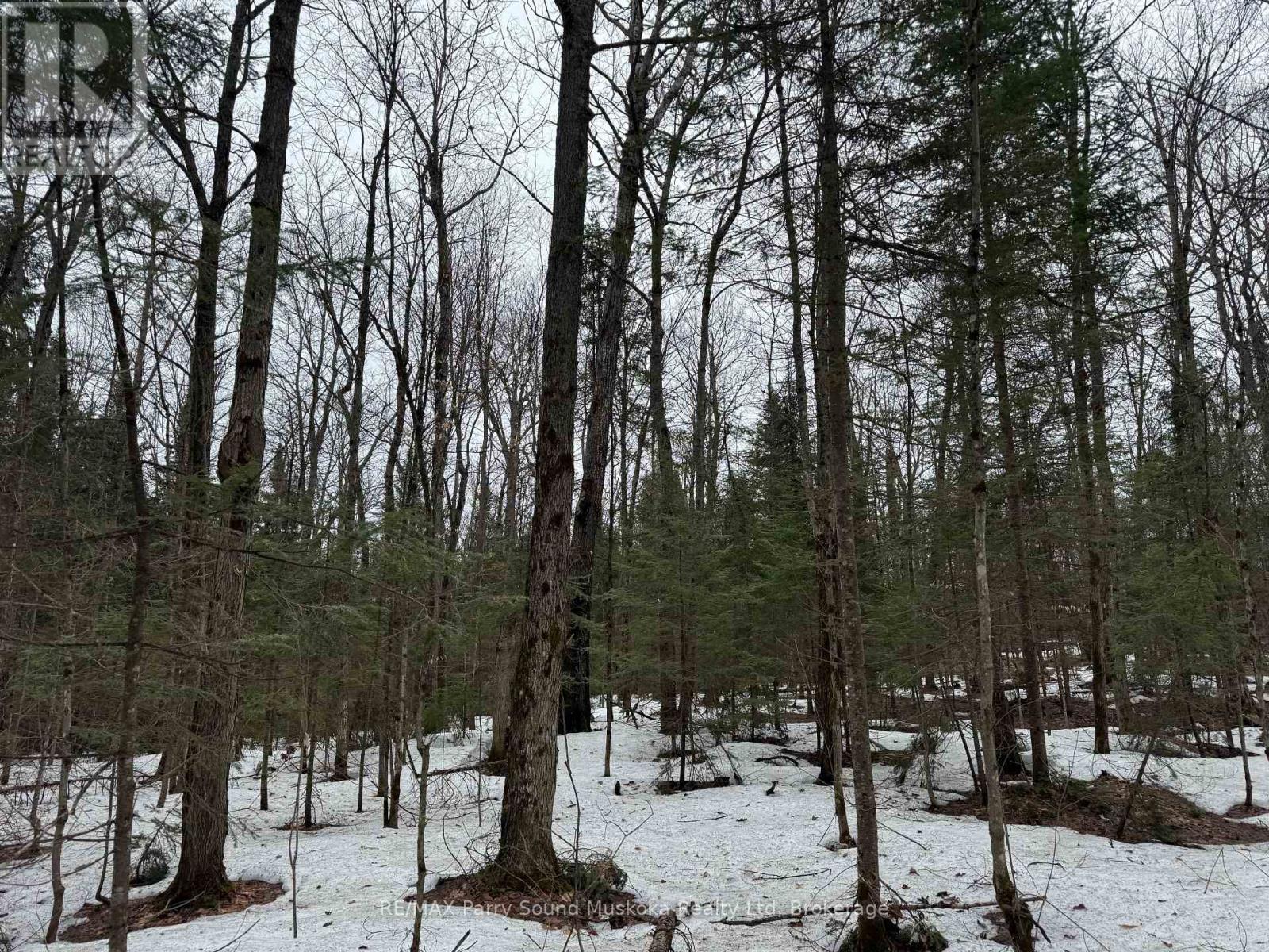 67 Pine Grove Road, Parry Sound Remote Area, Ontario  P0H 1S0 - Photo 7 - X12876644