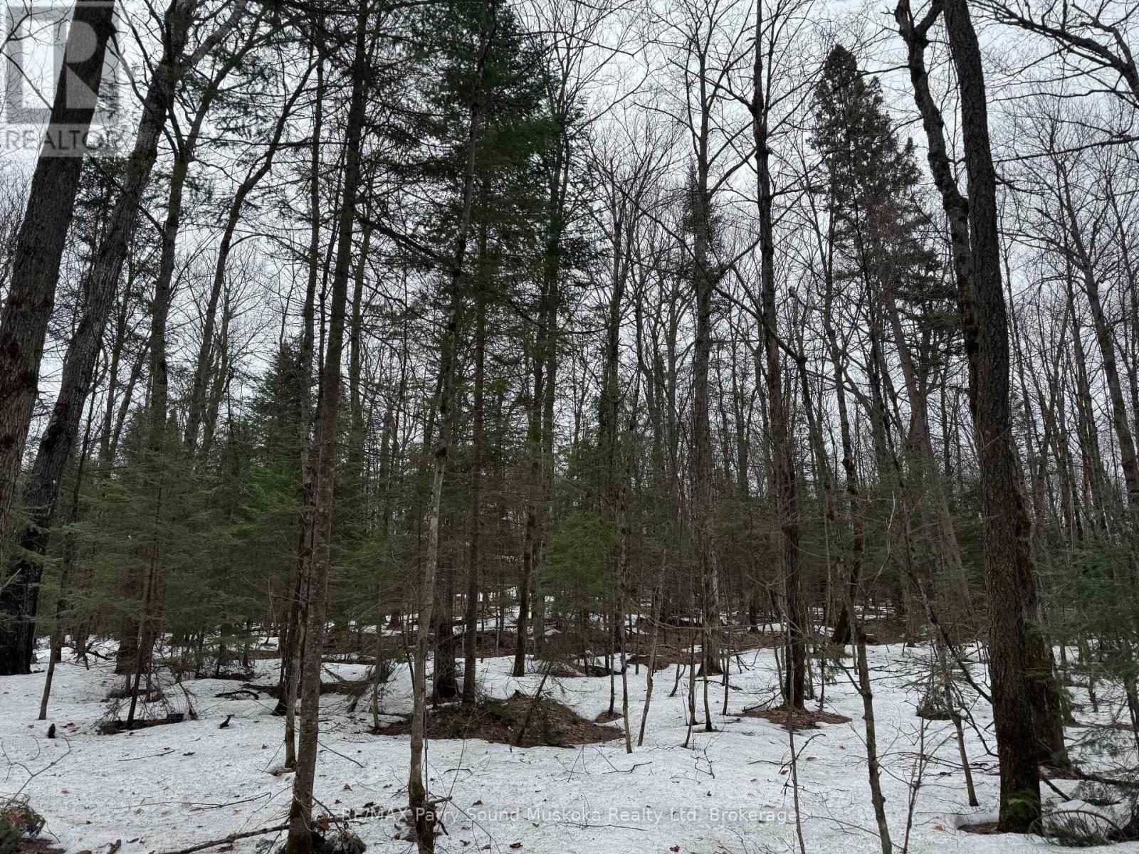 67 Pine Grove Road, Parry Sound Remote Area, Ontario  P0H 1S0 - Photo 6 - X12876644