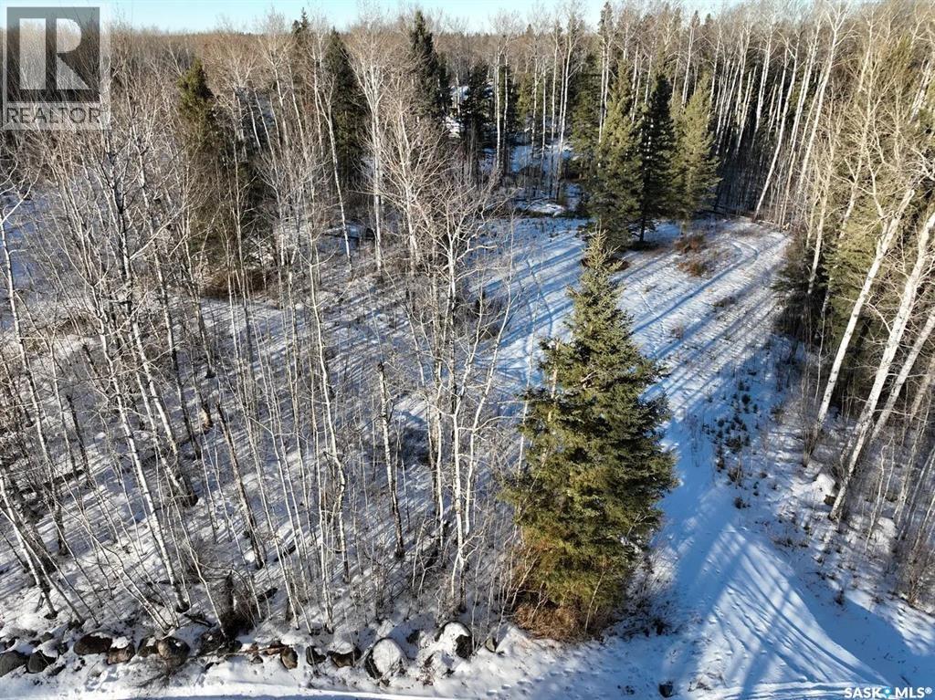 401 Aspen Way, Paddockwood Rm No. 520, Saskatchewan  S0J 3E0 - Photo 5 - SK033875