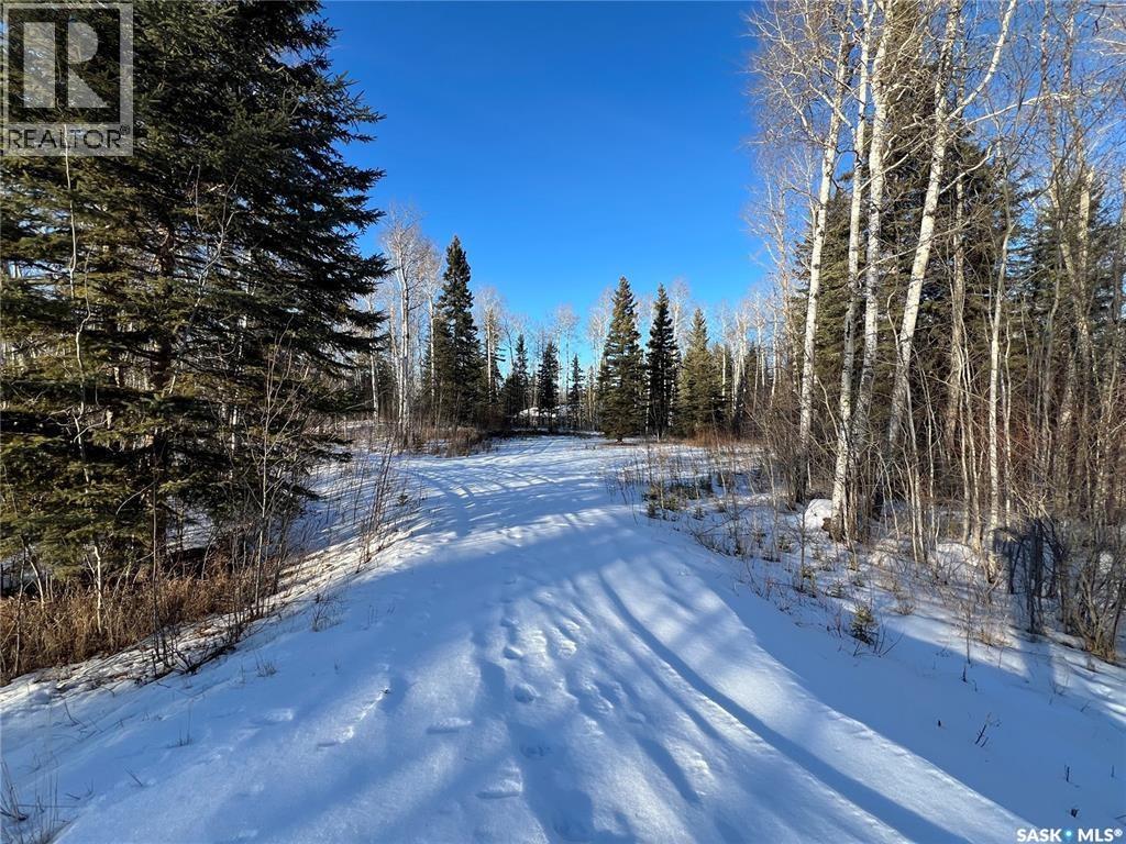401 Aspen Way, Paddockwood Rm No. 520, Saskatchewan  S0J 3E0 - Photo 6 - SK033875