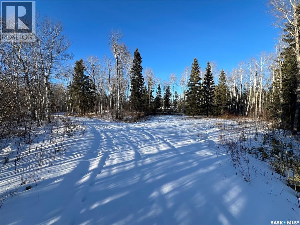 401 Aspen Way, Paddockwood Rm No. 520, Saskatchewan  S0J 3E0 - Photo 7 - SK033875