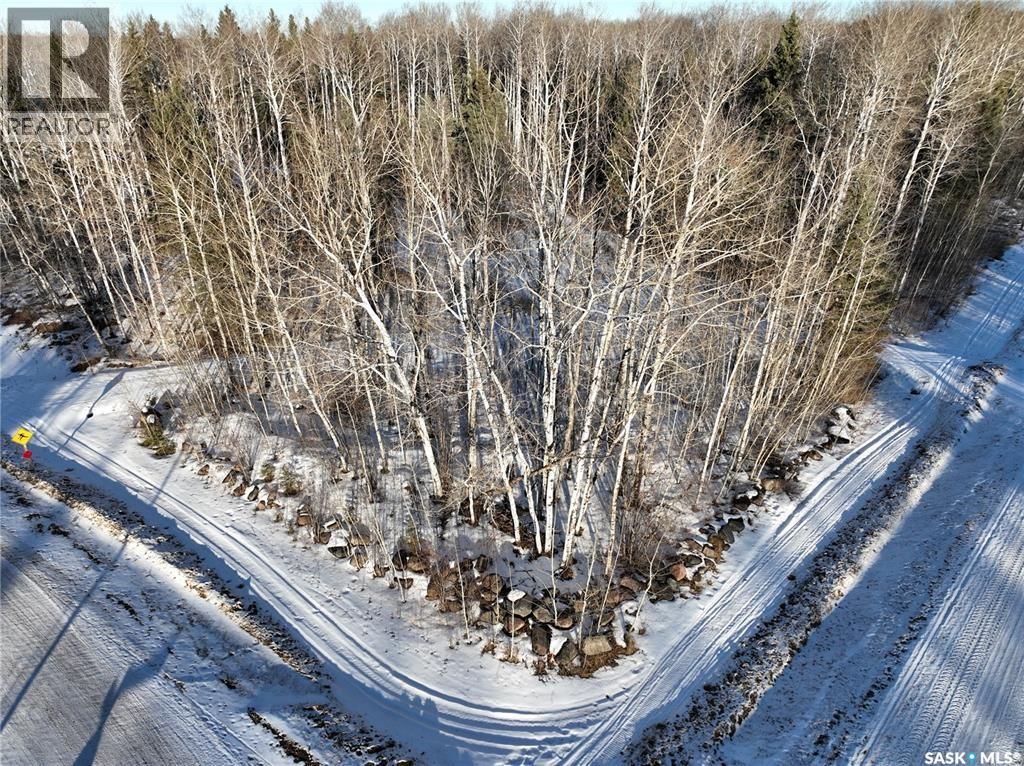 401 Aspen Way, Paddockwood Rm No. 520, Saskatchewan  S0J 3E0 - Photo 8 - SK033875