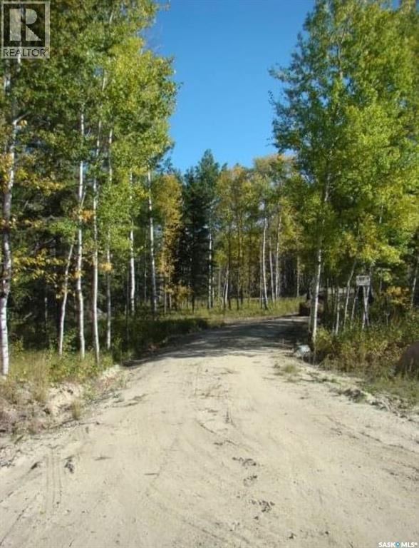 401 Aspen Way, Paddockwood Rm No. 520, Saskatchewan  S0J 3E0 - Photo 9 - SK033875