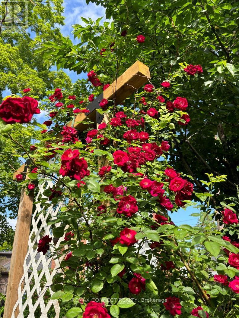 750 Gorham Street, Newmarket, Ontario  L3Y 1L6 - Photo 47 - N13041074