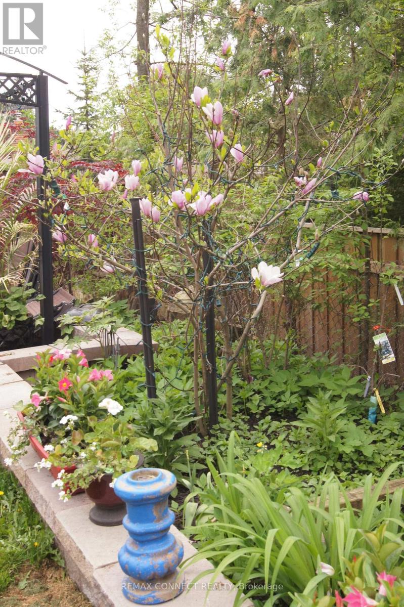 750 Gorham Street, Newmarket, Ontario  L3Y 1L6 - Photo 49 - N13041074