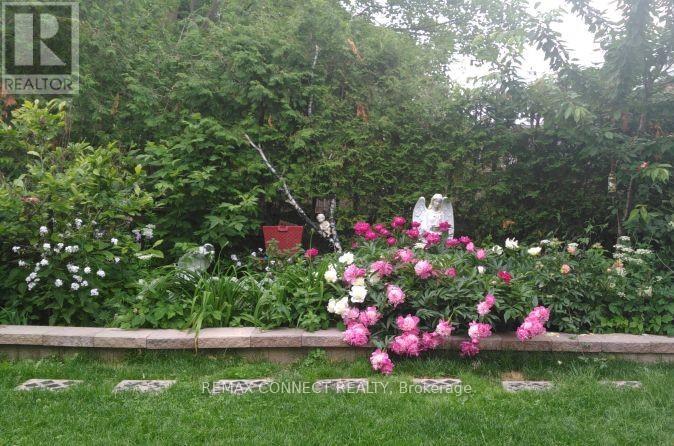 750 Gorham Street, Newmarket, Ontario  L3Y 1L6 - Photo 46 - N13041074