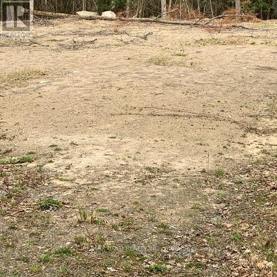 5 Mountain Basin Drive, Mcdougall, Ontario  P2A 2W9 - Photo 5 - X13038002