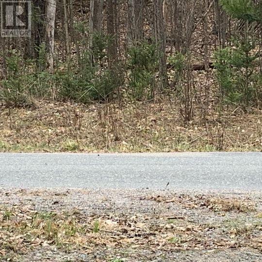 5 Mountain Basin Drive, Mcdougall, Ontario  P2A 2W9 - Photo 9 - X13038002