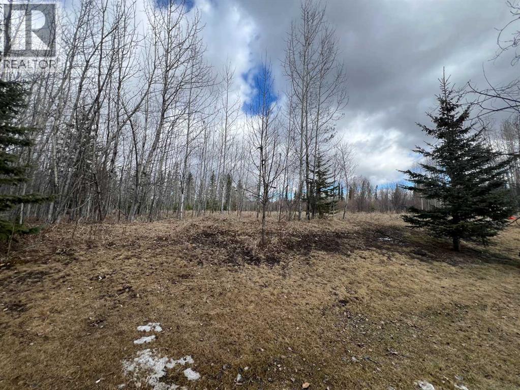 8, 624 41 Street, Edson, Alberta  T7E 1A4 - Photo 23 - A2304042