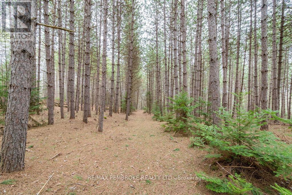 1738 B Line Road SW, Laurentian Valley, Ontario  K8A 6W8 - Photo 35 - X13044328