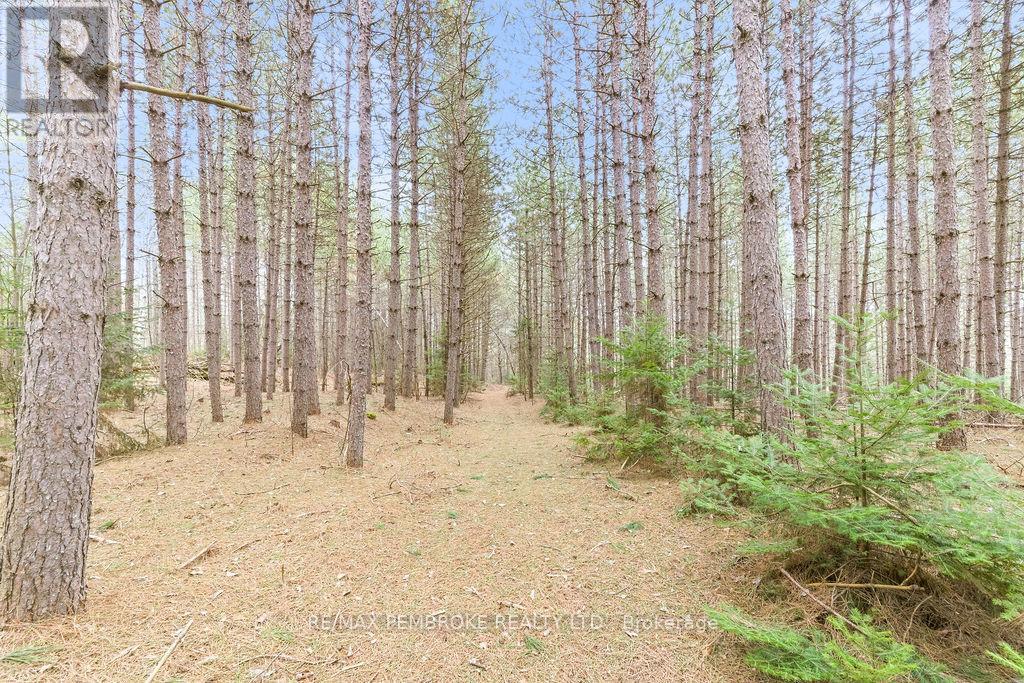 1738 B Line Road SW, Laurentian Valley, Ontario  K8A 6W8 - Photo 36 - X13044328