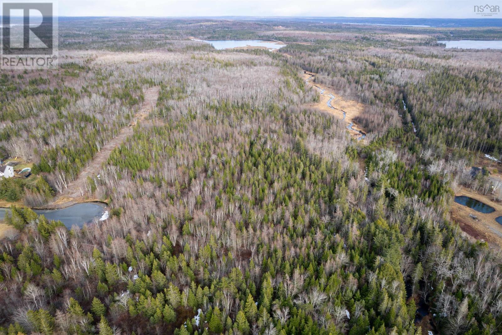 0 Merriwold Lane, Caribou Marsh, Nova Scotia  B1M 1C9 - Photo 8 - 202608619