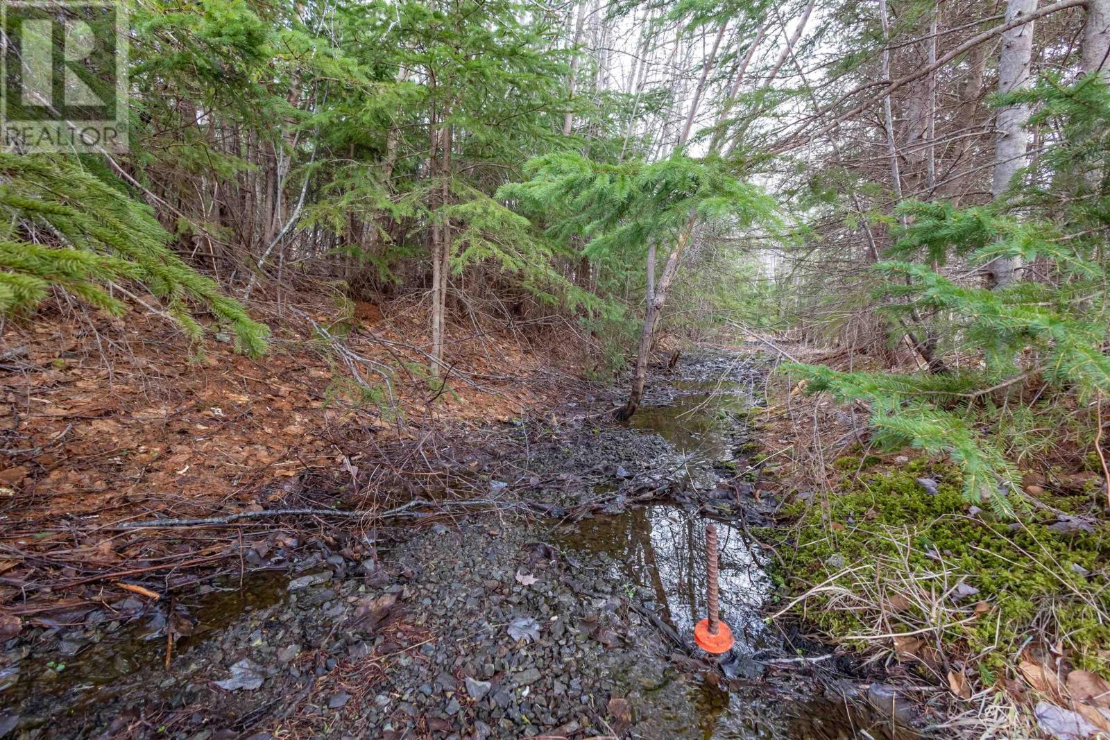 0 Merriwold Lane, Caribou Marsh, Nova Scotia  B1M 1C9 - Photo 3 - 202608619