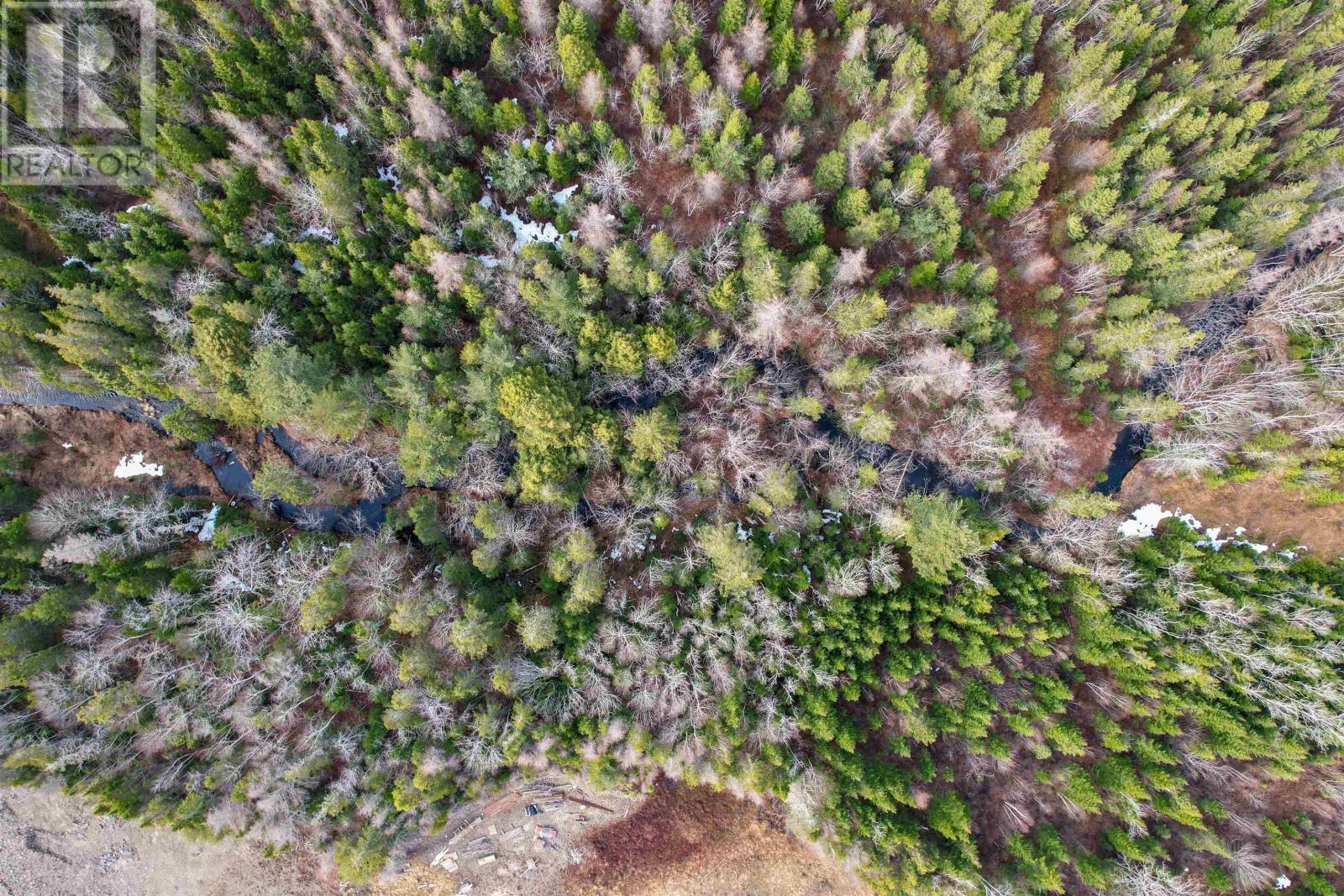 0 Merriwold Lane, Caribou Marsh, Nova Scotia  B1M 1C9 - Photo 10 - 202608619