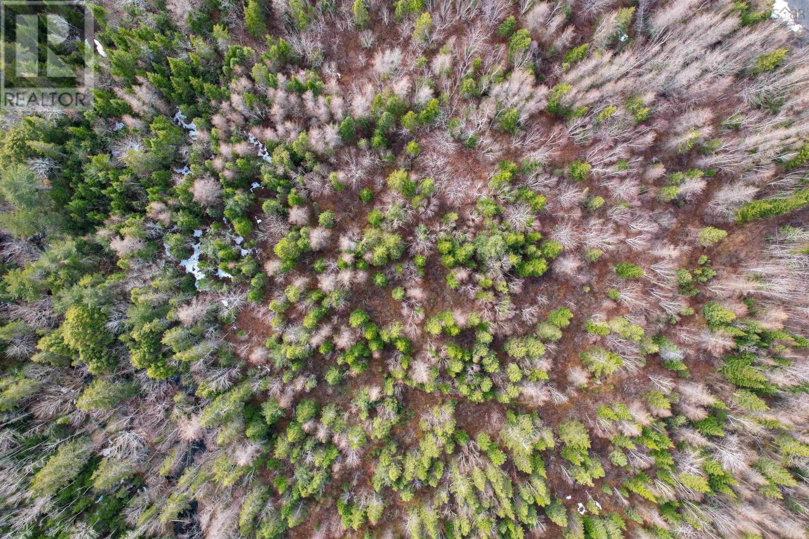 0 Merriwold Lane, Caribou Marsh, Nova Scotia  B1M 1C9 - Photo 9 - 202608619