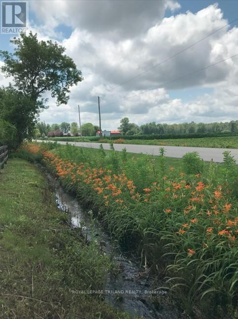 24909 Queens Line, West Elgin, Ontario  N0L 2P0 - Photo 24 - X13041916