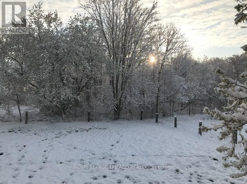 24909 Queens Line, West Elgin, Ontario  N0L 2P0 - Photo 22 - X13041916