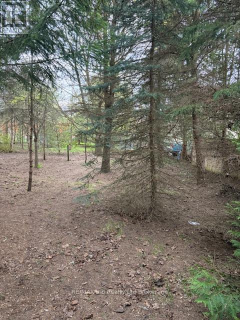 146 Whiting Street, Ingersoll, Ontario  N5C 3B3 - Photo 5 - X12758322