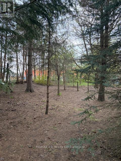 146 Whiting Street, Ingersoll, Ontario  N5C 3B3 - Photo 6 - X12768778