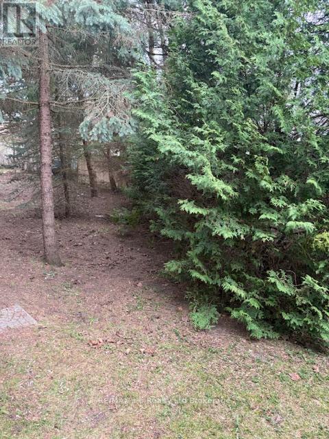 146 Whiting Street, Ingersoll, Ontario  N5C 3B3 - Photo 4 - X12768778