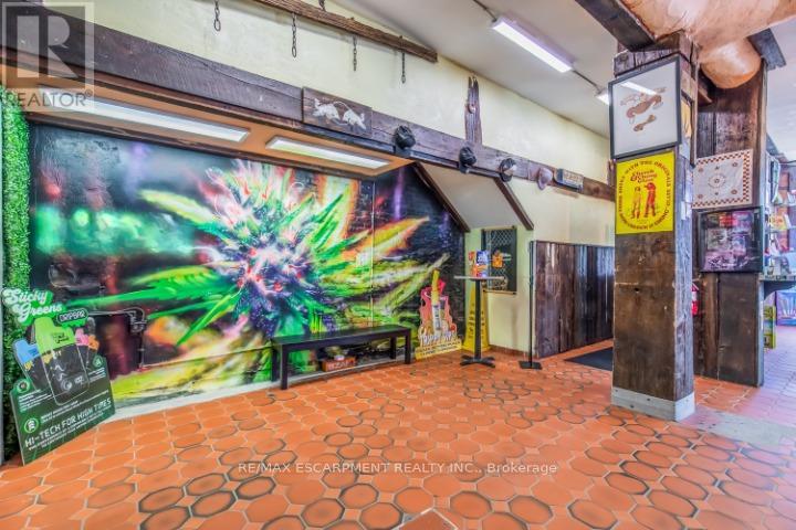 38 Hess Street S, Hamilton, Ontario  L8P 3N1 - Photo 4 - X13044404