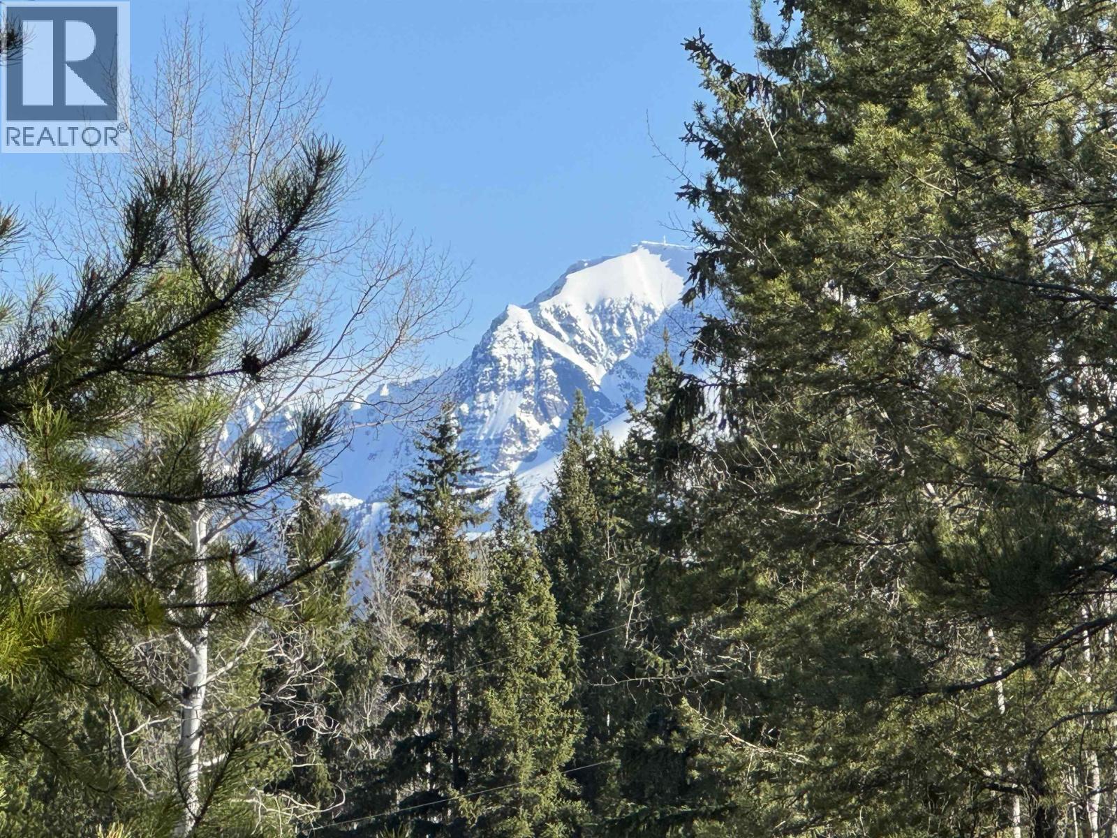 Valemount Vacant Land for sale:    (Listed 2026-04-24)