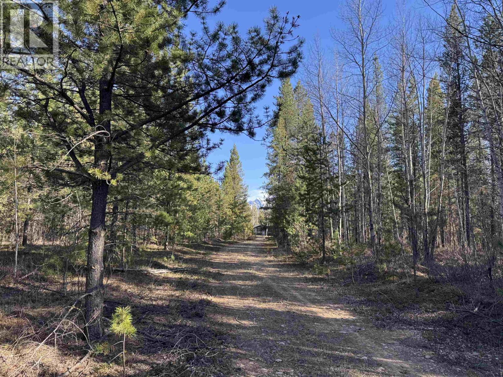 225 13th Avenue, Valemount, British Columbia  V0E 2Z0 - Photo 9 - R3115750