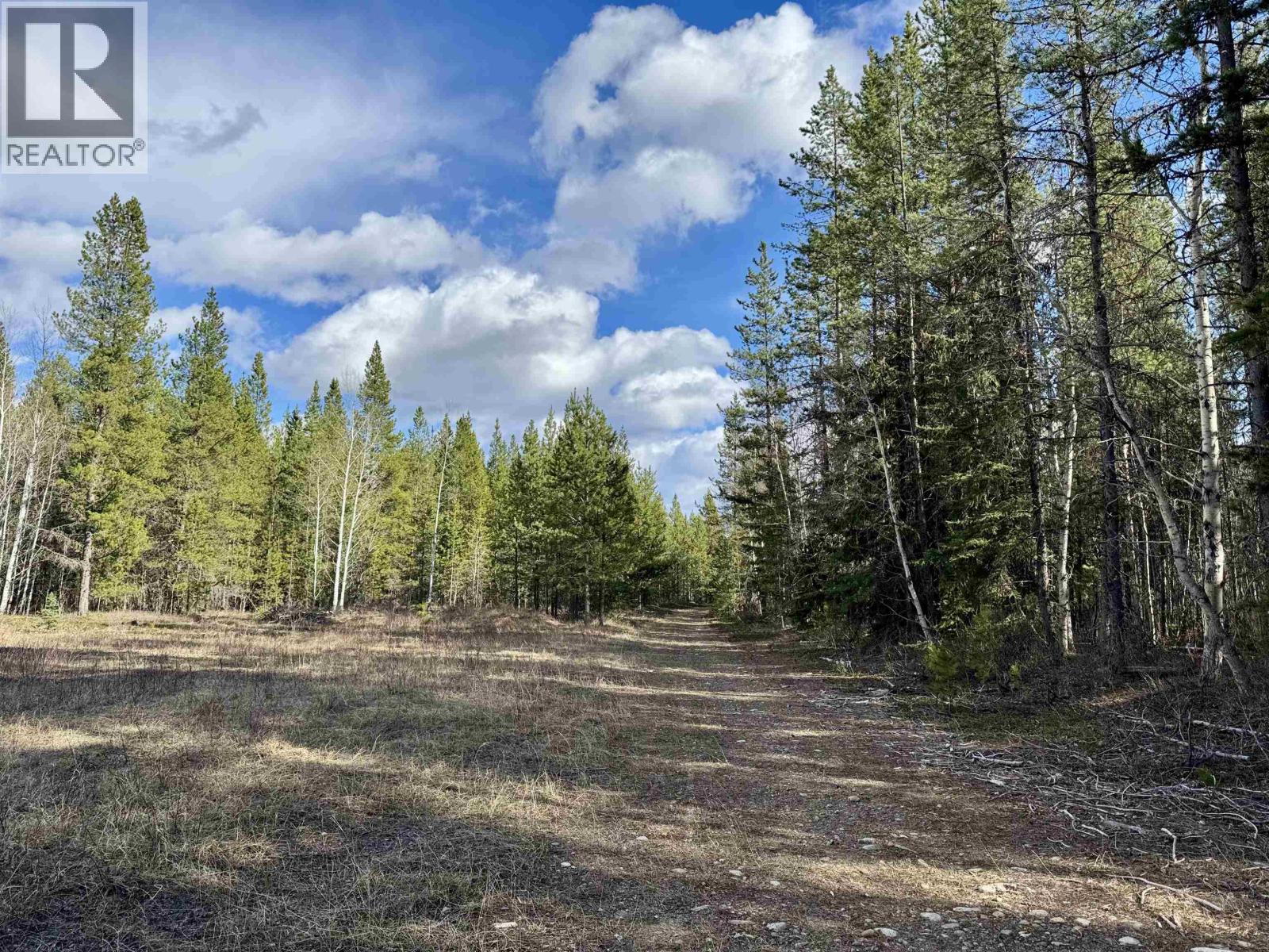 225 13th Avenue, Valemount, British Columbia  V0E 2Z0 - Photo 3 - R3115750