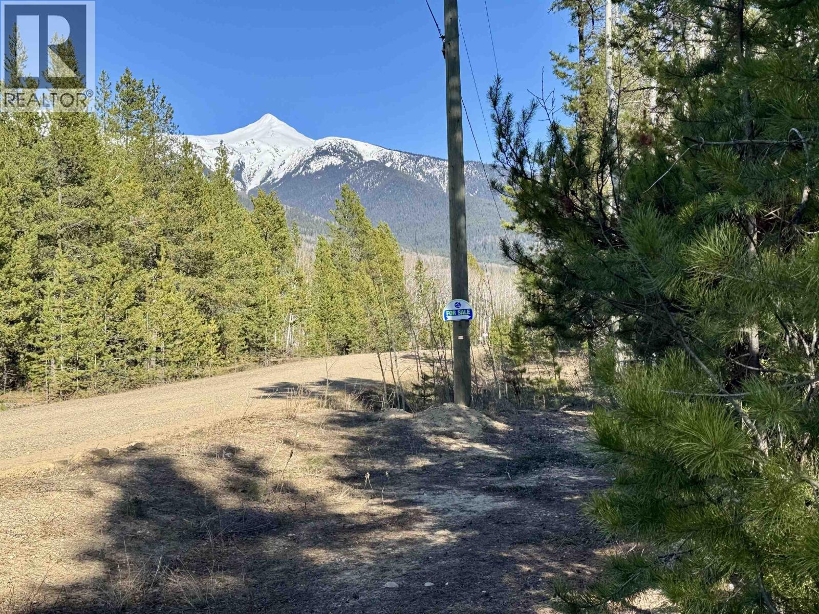 225 13th Avenue, Valemount, British Columbia  V0E 2Z0 - Photo 2 - R3115750