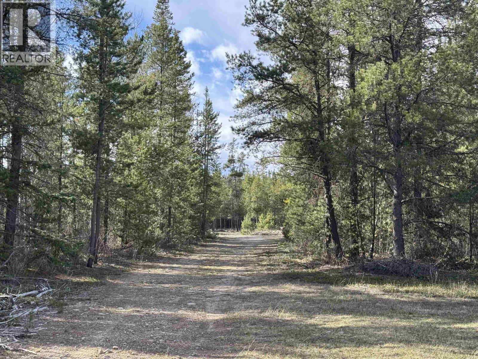 225 13th Avenue, Valemount, British Columbia  V0E 2Z0 - Photo 4 - R3115750