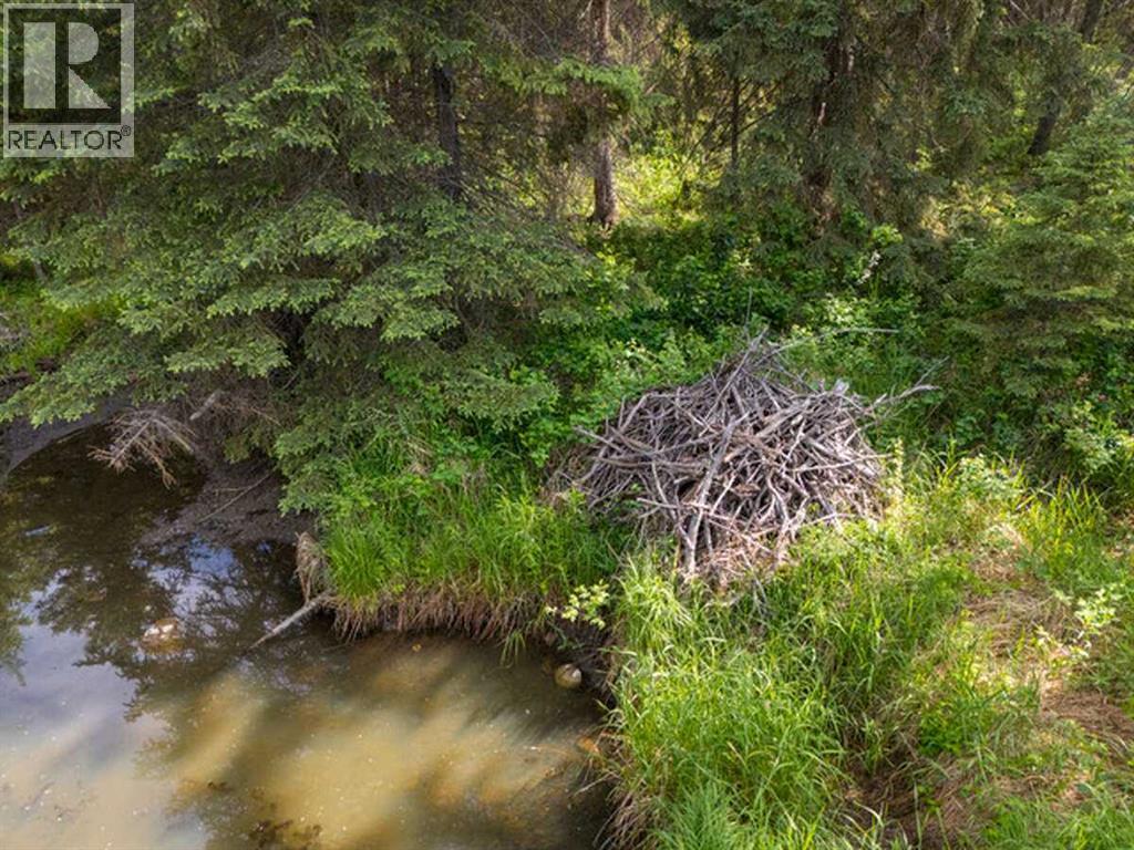 NW 5-35-2-5, Rural Red Deer County, Alberta  T0M 0K0 - Photo 30 - A2266109