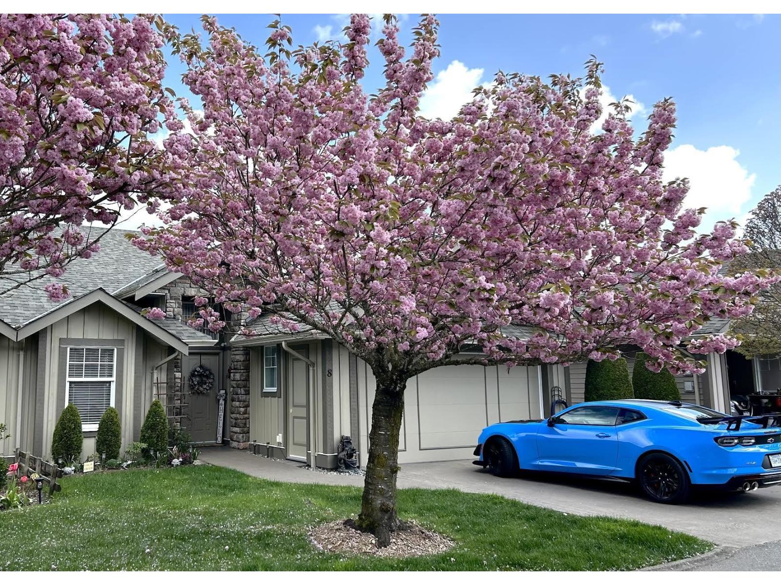 8 3348 Mt Lehman Road, Abbotsford, British Columbia  V4X 2M9 - Photo 29 - R3108333