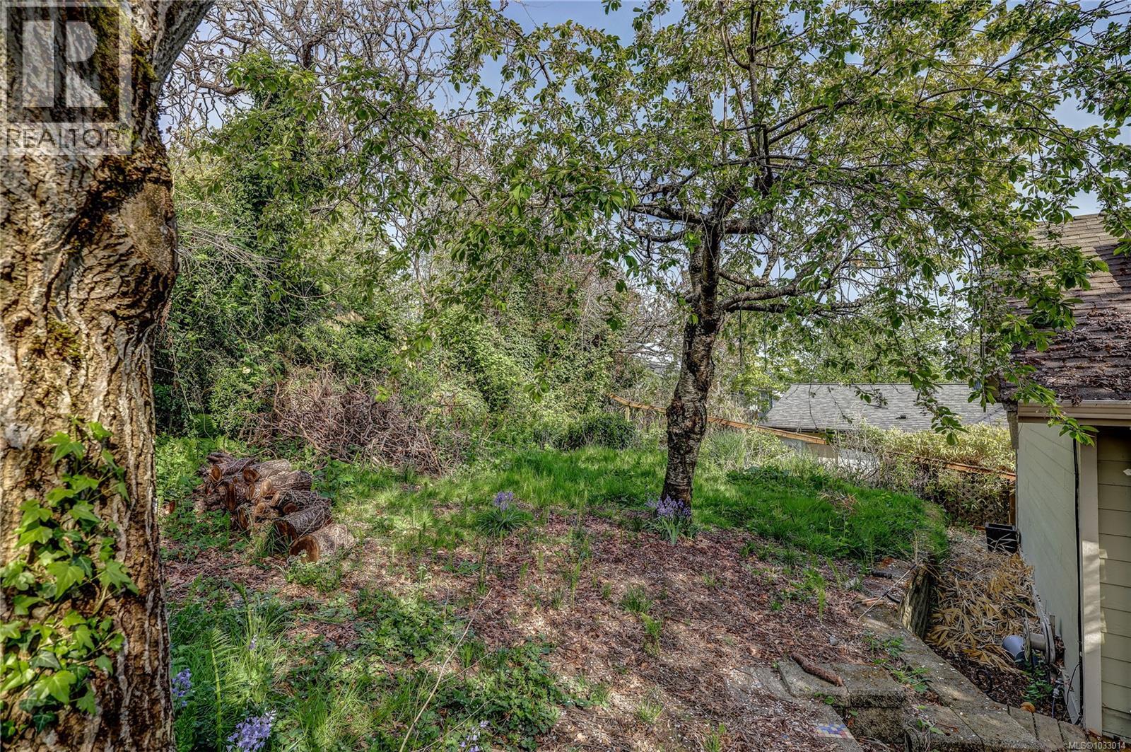 1361 Discovery Ave, Nanaimo, British Columbia  V9S 4B5 - Photo 50 - 1033014