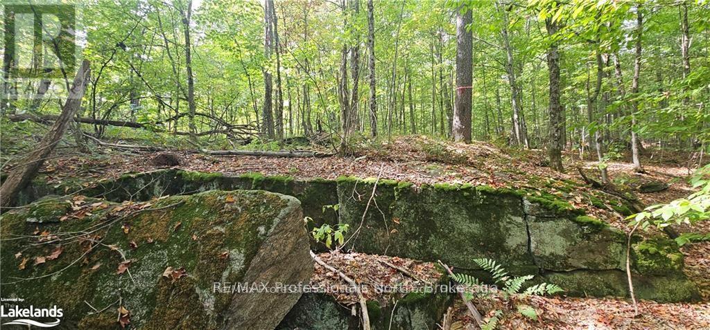 00 SOUTH HORN LAKE ROAD, Magnetawan, Ontario