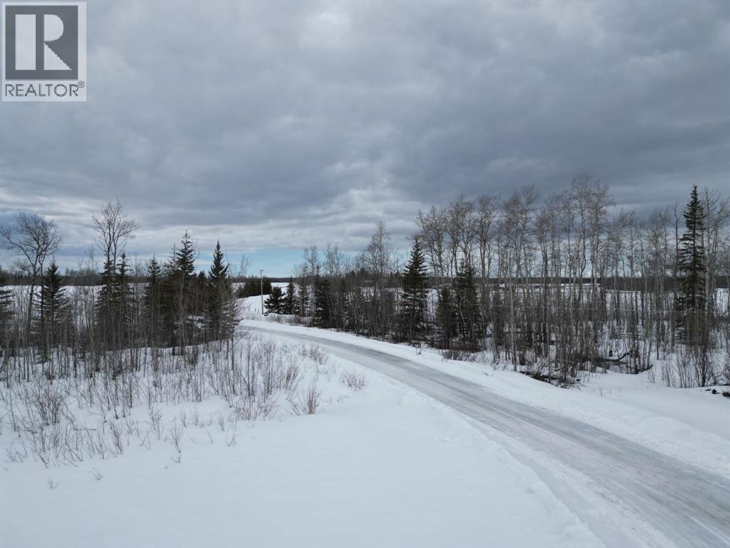 79259 Rge Rd 81, Rural Saddle Hills County, Alberta  T0H 3G0 - Photo 39 - A2300387