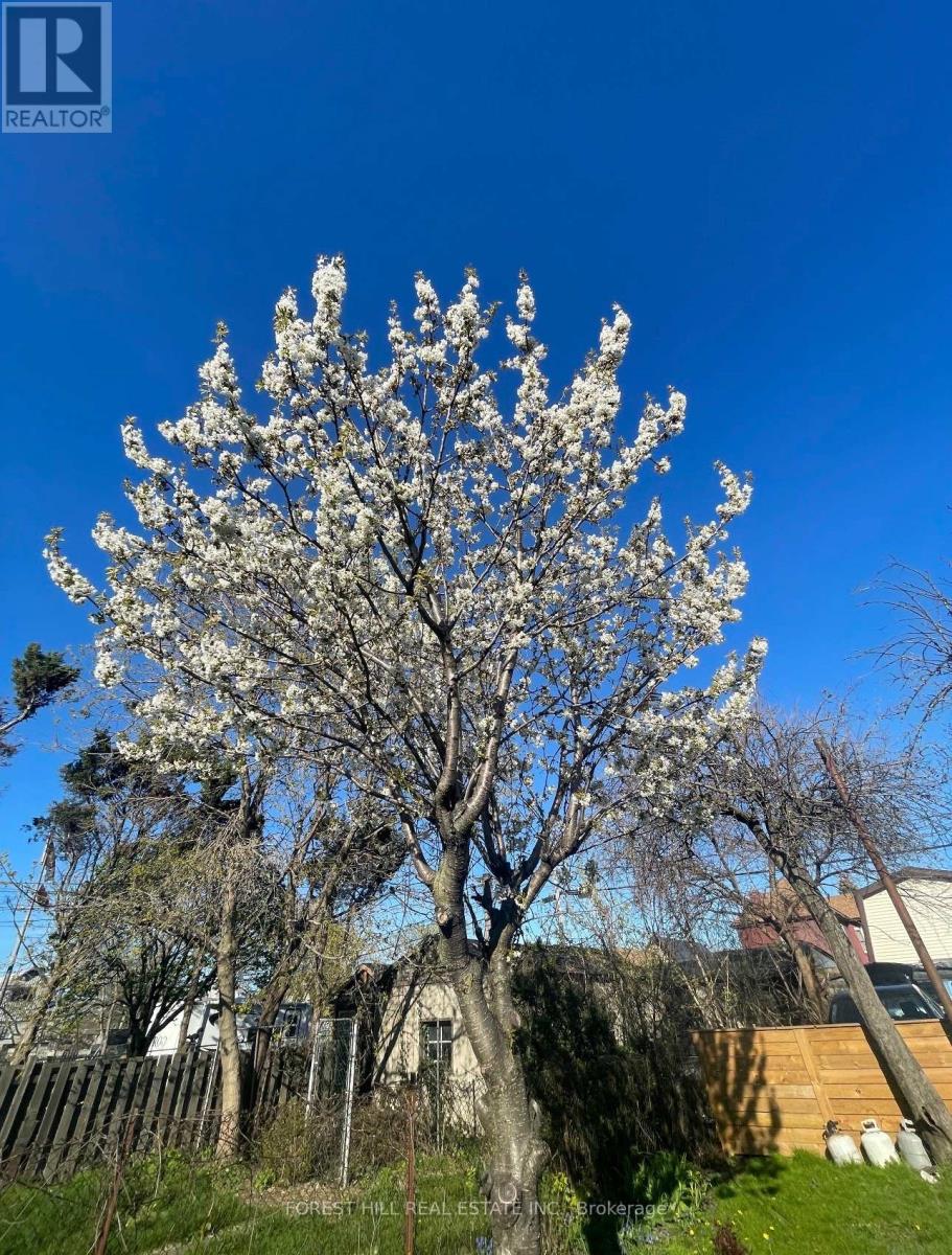 212 Gibson Avenue, Hamilton, Ontario  L8L 6K1 - Photo 36 - X12864148