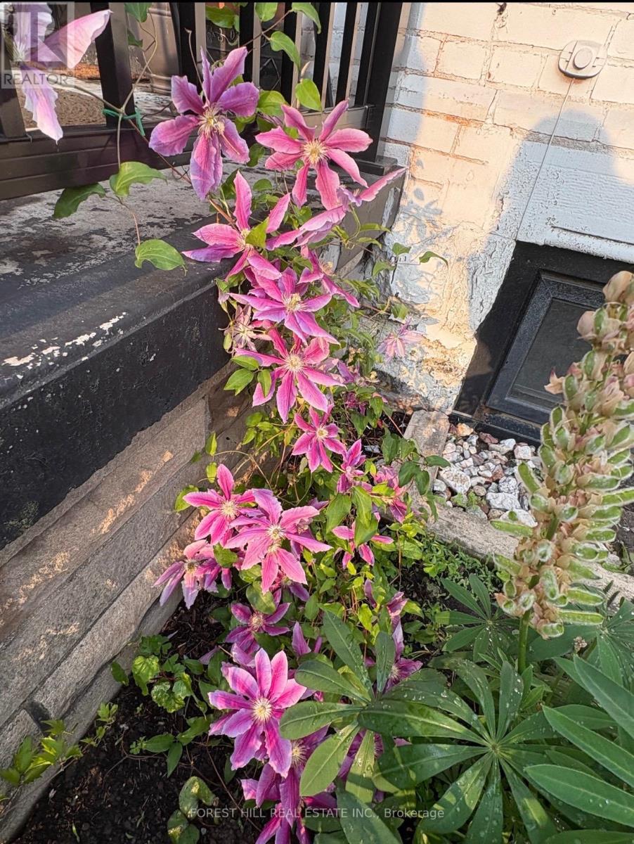 212 Gibson Avenue, Hamilton, Ontario  L8L 6K1 - Photo 8 - X12864148