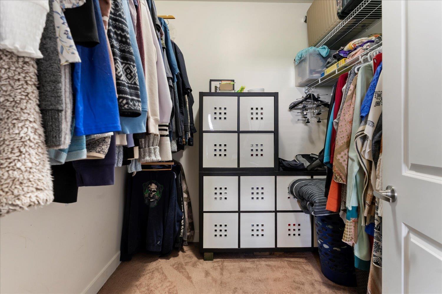 51022 Sophie Crescent, Eastern Hillsides, Chilliwack, British Columbia  V4Z 0C1 - Photo 20 - R3115003