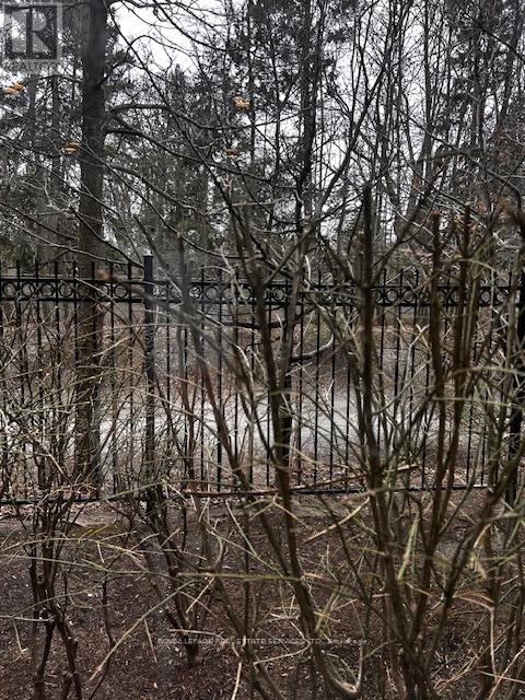 212 - 195 Merton Street, Toronto, Ontario  M4S 3H6 - Photo 12 - C13013542