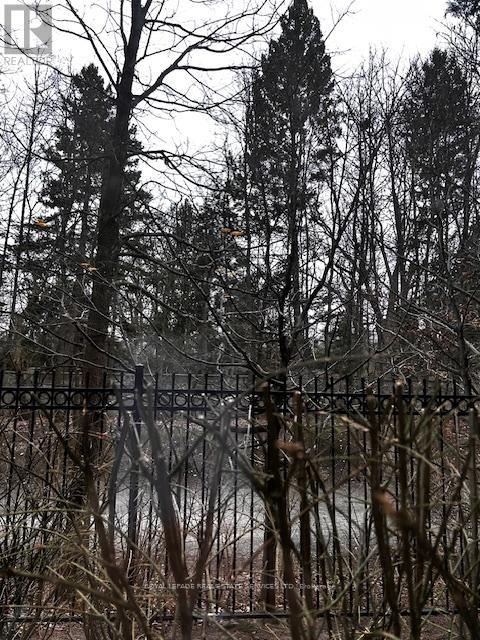 212 - 195 Merton Street, Toronto, Ontario  M4S 3H6 - Photo 13 - C13013542