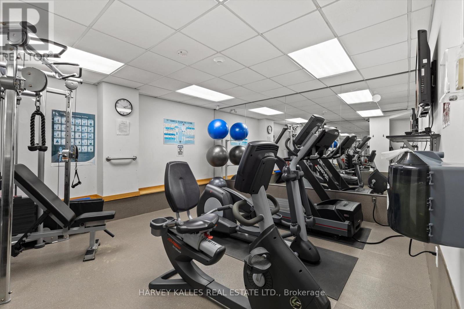 201 - 3900 Yonge Street, Toronto, Ontario  M4N 3N6 - Photo 30 - C13042934