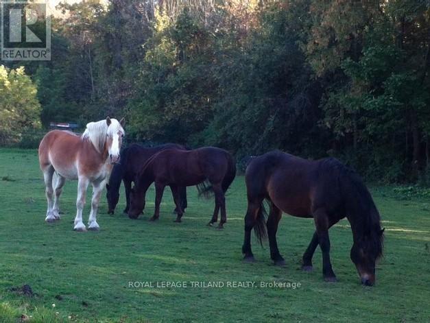 24909 Queens Line, West Elgin, Ontario  N0L 2P0 - Photo 18 - X13041916