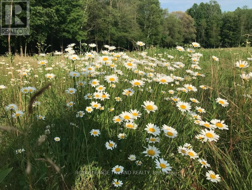 24909 Queens Line, West Elgin, Ontario  N0L 2P0 - Photo 24 - X13041916