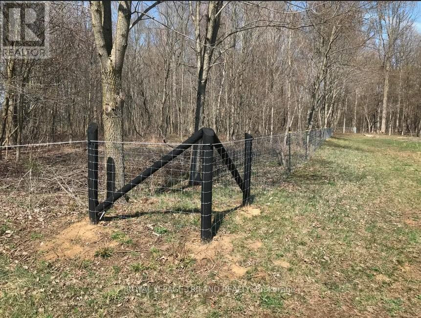 24909 Queens Line, West Elgin, Ontario  N0L 2P0 - Photo 21 - X13041916